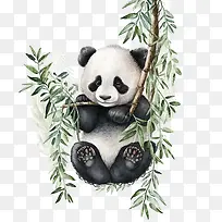 可爱的熊猫-可爱的熊猫宝宝竹子