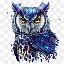 猫头鹰肖像-猫头鹰肖像幻想猫头鹰蓝色猫头鹰猫头鹰