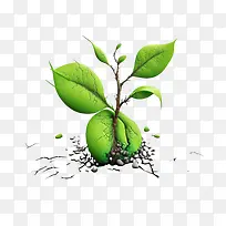 防治荒漠化世界日-防治荒漠化世界日防治荒漠化旱地防治干旱