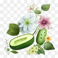 水彩黄瓜-水彩黄瓜黄瓜蔬菜黄瓜花