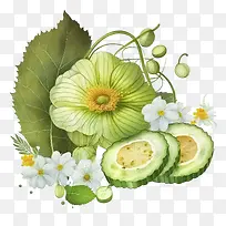 水彩黄瓜-水彩黄瓜黄瓜带花黄瓜带叶