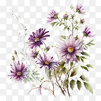 水彩雏菊-水彩雏菊水彩藤蔓