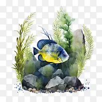 珊瑚鱼-水背景