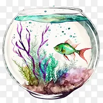 异国情调的鱼-异国情调的鱼鱼与海藻