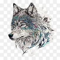 狼-狼抽象狼狼动物野生