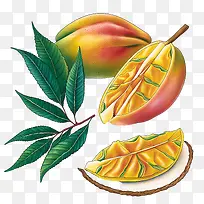 新鲜芒果-新鲜芒果水彩芒果