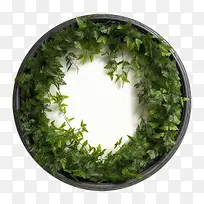 植物藤蔓花环-绿色框架