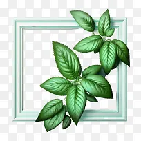 绿薄荷-有机框架