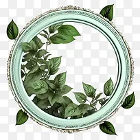 薄荷-薄荷薄荷框架叶绿色复古