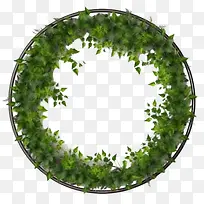 植物藤蔓花环-绿色框架