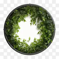 植物藤蔓花环-绿色框架