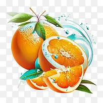 橙子-橙子新鲜橙子橙子水果橙子皮