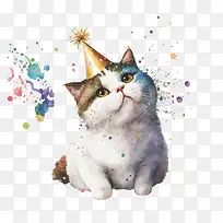卡通猫-卡通猫