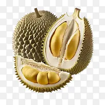 榴莲-榴莲3d榴莲果榴莲成熟