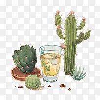 国家龙舌兰酒日-仙人掌