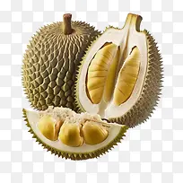 榴莲-榴莲3D榴莲榴莲果热带水果