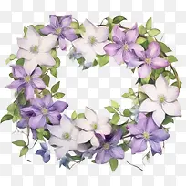 水彩铁线莲花-花环