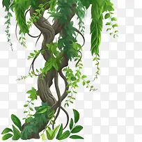 藤本植物茎边框-藤本植物茎边框雨林绿色藤蔓植物藤蔓