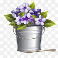 长春花-长春花长春花桶花束花瓶长春花