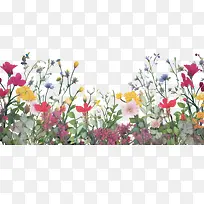 春天的花朵-花边框
