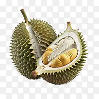 榴莲-榴莲3D榴莲新鲜水果榴莲泰国