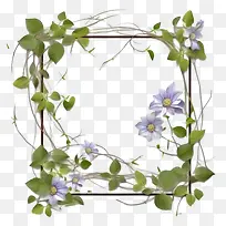 铁线莲花-花卉边框