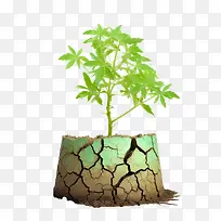 防治荒漠化-防治荒漠化防治干旱全球变暖干地开裂的地面