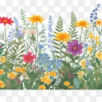 花边框-花边框