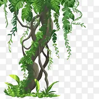 藤本植物茎边框-香蕉树