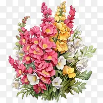 金鱼草-金鱼草金鱼草花花束鲜花粉红色