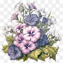 矮牵牛花-矮牵牛花粉红色紫色蓝色白色