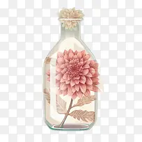 大丽花花-大丽花花粉红色花瓶玻璃