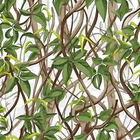 无缝藤本植物-无缝藤本植物藤蔓图案绿叶藤蔓