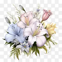 百合-百合花