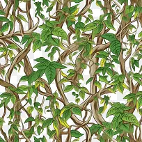 无缝藤本植物-藤蔓