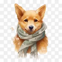 狐狸-狐狸狗柯基犬毛茸茸的冬天