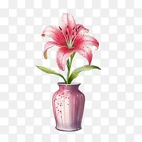 百合花-百合花
