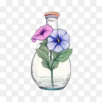 矮牵牛花-矮牵牛花瓶花瓶水花
