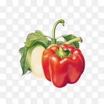 辣椒-辣椒,甜椒,红辣椒,青椒,蔬菜