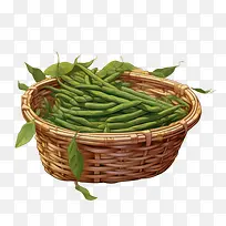 绿豆-绿豆蔬菜青豆篮子蔬菜