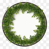 绿色爬行物框架-植物框架