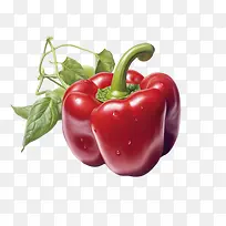 辣椒-辣椒红灯笼椒蔬菜水果