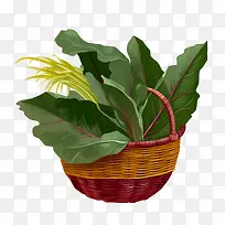 甜菜叶-甜菜叶蔬菜图像内容蔬菜篮子