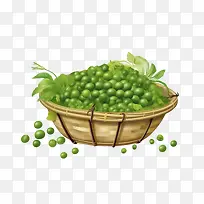 绿豌豆-绿豌豆豌豆篮花园绿色