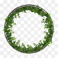 绿色爬行物框架-植物框架