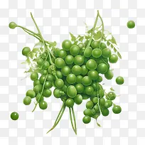 绿豌豆-健康食品