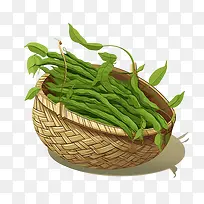 绿豆-绿豆蔬菜豆类绿色蔬菜
