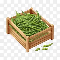 绿豆-绿豆蔬菜豌豆木箱青豌豆