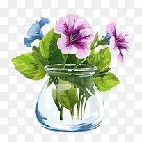 矮牵牛花-矮牵牛花水瓶花三色紫罗兰