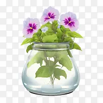 矮牵牛花-矮牵牛花三色堇花瓶紫色花朵